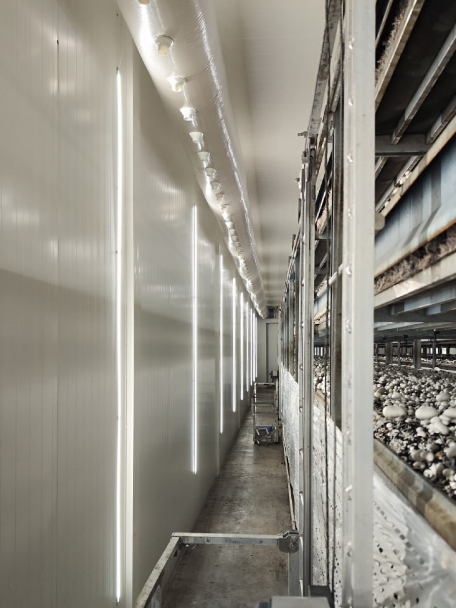 Галерея проектов