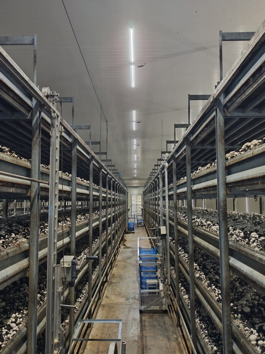 Галерея проектов