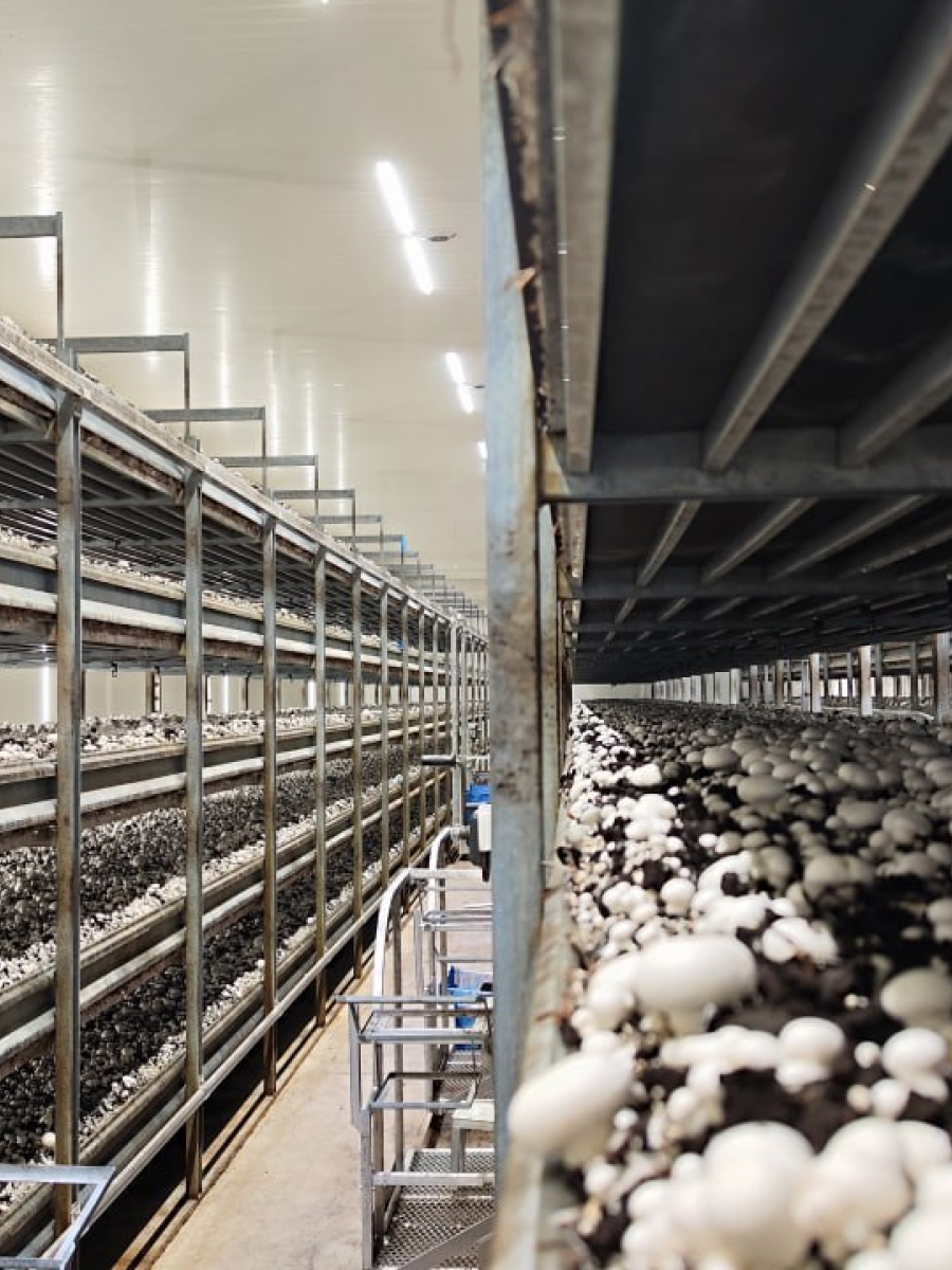 Галерея проектов